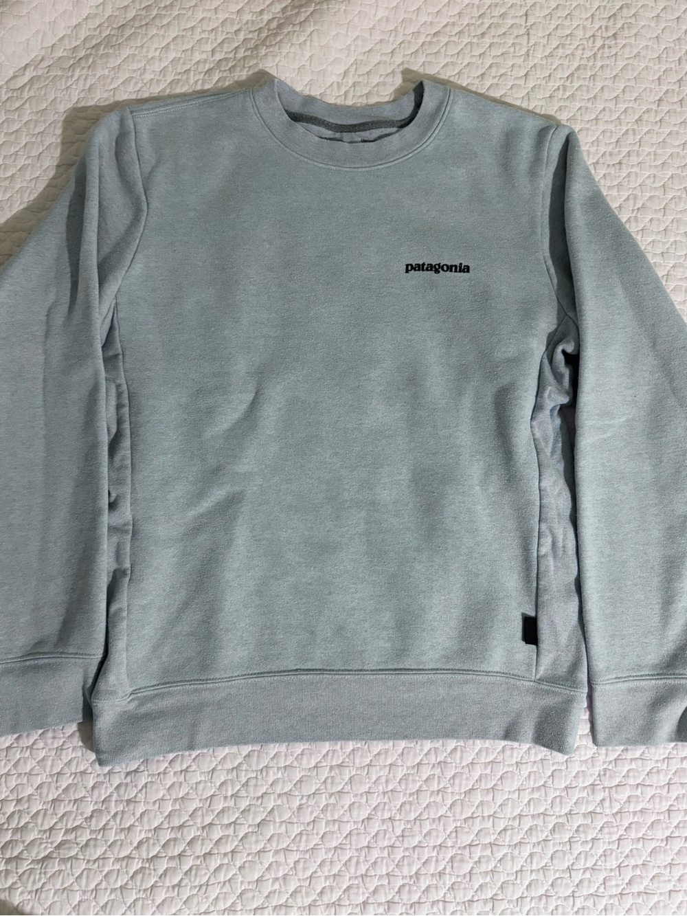 Patagonia Crewneck Sweatshirt — Thermal Blue